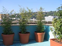 Patrimoine 2007 (13)